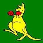 Boxing Roo